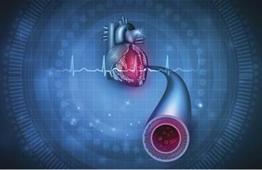 Cross-Sex Hormone Therapy: What Are the Long-Term Risk Factors? Cross-Sex Hormone Therapy: What Are the Long-Term Risk Factors?