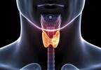 Obesity May Raise Thyroid Cancer Risk Obesity May Raise Thyroid Cancer Risk