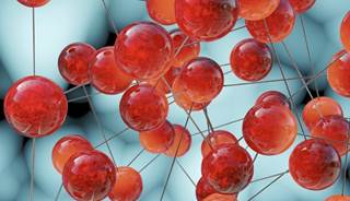 Endocrine Society Discusses Dangers of Endocrine Disruptors at EU Conference Endocrine Society Discusses Dangers of Endocrine Disruptors at EU Conference