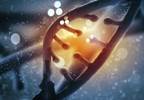 Genetics May Affect Effectiveness of Weight-Loss Strategies Genetics May Affect Effectiveness of Weight-Loss Strategies