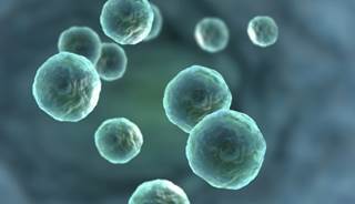 Urine Profiles Offer Insight into ‘Metabolic Signature’ of Obesity Urine Profiles Offer Insight into ‘Metabolic Signature’ of Obesity