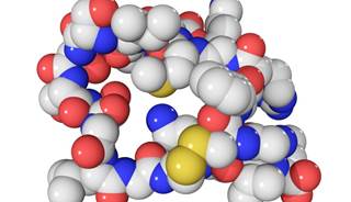 NT-proBNP Improves Cardiovascular Disease Risk Prediction in Women NT-proBNP Improves Cardiovascular Disease Risk Prediction in Women