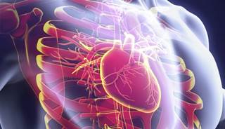 Heart Attack Risk Linked to Time-Updated HbA1c Variables Heart Attack Risk Linked to Time-Updated HbA1c Variables