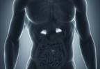 Higher Rate of Addison's Disease Seen in Patients Born in Winter Months Higher Rate of Addison's Disease Seen in Patients Born in Winter Months
