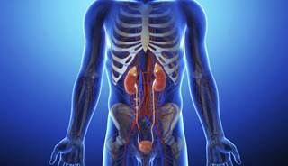 Metabolic Conditions Linked to Lower Urinary Tract Symptoms Metabolic Conditions Linked to Lower Urinary Tract Symptoms
