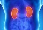 End-Stage Renal Disease From Diabetes Declined in US End-Stage Renal Disease From Diabetes Declined in US