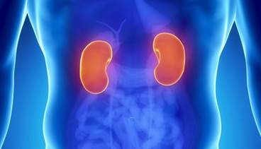 Empagliflozin Slowed Kidney Disease Progression, Decreased Renal Events vs Placebo Empagliflozin Slowed Kidney Disease Progression, Decreased Renal Events vs Placebo