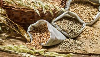 Eating a diet high in refined carbs appears to increase depression risk in postmenopausal women. Eating a diet high in refined carbs appears to increase depression risk in postmenopausal women.