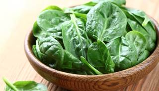 Vegetable Protein Intake Linked to Metabolic Syndrome in Type 2 Diabetes Vegetable Protein Intake Linked to Metabolic Syndrome in Type 2 Diabetes