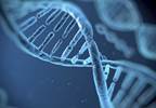 HABP2 Mutation Confers Susceptibility to Thyroid Cancer HABP2 Mutation Confers Susceptibility to Thyroid Cancer