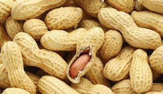 A high-fat meal that includes peanuts improves post-meal triglycerides. A high-fat meal that includes peanuts improves post-meal triglycerides.