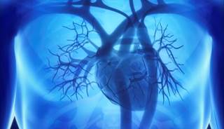 Cardiovascular Risk Prediction Better With eGFR, ACR Cardiovascular Risk Prediction Better With eGFR, ACR