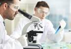 Biomedical Research Workforce in the United States: Looking Ahead Biomedical Research Workforce in the United States: Looking Ahead