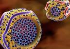 Are Extremely Low LDL Cholesterol Levels Safe? Are Extremely Low LDL Cholesterol Levels Safe?