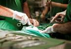 Transition-of-Care Algorithm Performs Well in Surgery Patients With Type 2 Diabetes Transition-of-Care Algorithm Performs Well in Surgery Patients With Type 2 Diabetes
