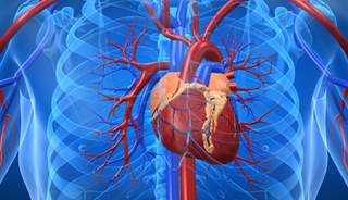 The ELIXA study found that lixisenatide had a neutral effect on cardiac events. The ELIXA study found that lixisenatide had a neutral effect on cardiac events.