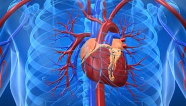 ELIXA: No Cardiac Risks, Benefits With Lixisenatide ELIXA: No Cardiac Risks, Benefits With Lixisenatide