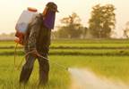 Pesticide Exposure Tied to Diabetes Risk Pesticide Exposure Tied to Diabetes Risk