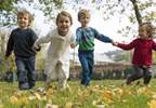 Childhood Obesity Linked to Lack of Garden Access Childhood Obesity Linked to Lack of Garden Access