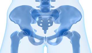 Hip fracture rates are no longer declining. Hip fracture rates are no longer declining.