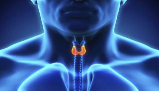 The patient had a family history of thyroid disease, elevated thyroid stimulating hormone, and symptoms compatible with hypothyroidism. The patient had a family history of thyroid disease, elevated thyroid stimulating hormone, and symptoms compatible with hypothyroidism.