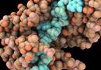Gene Variant, Fusion Panels Alone Do Not Rule In, Rule Out Thyroid Cancer Gene Variant, Fusion Panels Alone Do Not Rule In, Rule Out Thyroid Cancer