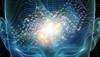 Brain Structure Altered With Elevated BMI Brain Structure Altered With Elevated BMI