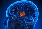 Hypothalamic Gliosis May Be Associated With Insulin Resistance, Obesity Hypothalamic Gliosis May Be Associated With Insulin Resistance, Obesity
