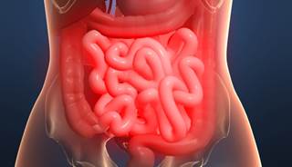 Researchers developed best practices for managing pediatric celiac disease. Researchers developed best practices for managing pediatric celiac disease.