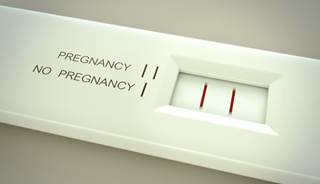 Delaying the next attempt at pregnancy after early loss did not improve live birth rates. Delaying the next attempt at pregnancy after early loss did not improve live birth rates.