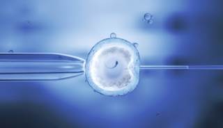 Frozen embryo transfer during IVF may improve chances for pregnancy in women with polycystic ovary syndrome. Frozen embryo transfer during IVF may improve chances for pregnancy in women with polycystic ovary syndrome.