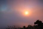 Acute Ozone Exposure Increased Stress Hormone, Altered Lipid Metabolism Acute Ozone Exposure Increased Stress Hormone, Altered Lipid Metabolism