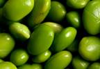 Study Suggests Soy Isoflavones May Have Metabolic Benefits in PCOS Study Suggests Soy Isoflavones May Have Metabolic Benefits in PCOS