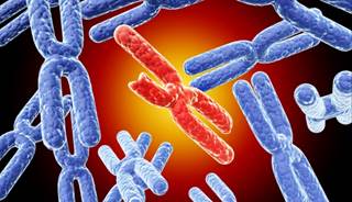 Researchers have found a major risk locus for Addison's disease. Researchers have found a major risk locus for Addison's disease.