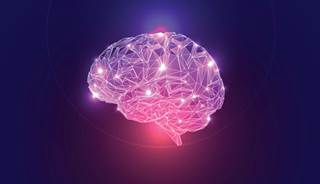 The researchers also noted decreased hunger feelings. The researchers also noted decreased hunger feelings.