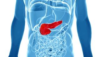 The risk for pancreatitis appeared to be 1.79 times higher with gliptin treatment vs placebo. The risk for pancreatitis appeared to be 1.79 times higher with gliptin treatment vs placebo.