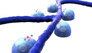 Beta-cell function can be measured using mixed-meal tolerance tests and arginine stimulation tests. Beta-cell function can be measured using mixed-meal tolerance tests and arginine stimulation tests.