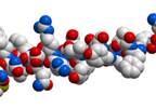Glucagon May Be Ready for Prime Time Glucagon May Be Ready for Prime Time