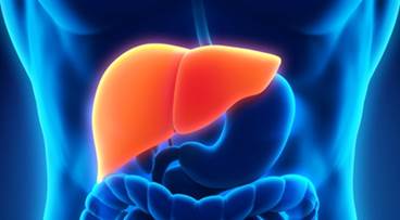Topline Data Announced for Selonsertib in Patients With Compensated Cirrhosis Due to NASH Topline Data Announced for Selonsertib in Patients With Compensated Cirrhosis Due to NASH