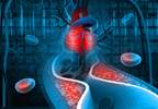 Combination Ezetimibe/Rosuvastatin Beats Rosuvastatin Alone in Hypercholesterolemia Combination Ezetimibe/Rosuvastatin Beats Rosuvastatin Alone in Hypercholesterolemia