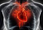 Cardiovascular Event Risks With Zoledronic Acid vs Oral Bisphosphonates Cardiovascular Event Risks With Zoledronic Acid vs Oral Bisphosphonates