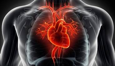 SUSTAIN-6: Cardiovascular Safety of Semaglutide in Type 2 Diabetes SUSTAIN-6: Cardiovascular Safety of Semaglutide in Type 2 Diabetes