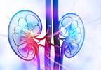 Chronic Kidney Disease vs Type 2 Diabetes Mortality Risk in CVD Chronic Kidney Disease vs Type 2 Diabetes Mortality Risk in CVD