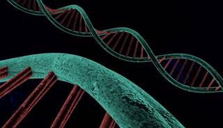 Embracing all the myriad variations of the human genome should, in theory, lead to rewards that all can share. Embracing all the myriad variations of the human genome should, in theory, lead to rewards that all can share.