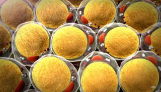 AACE/ACE seeks to redefine the term obesity to clarify information about obesity as a disease state. AACE/ACE seeks to redefine the term obesity to clarify information about obesity as a disease state.