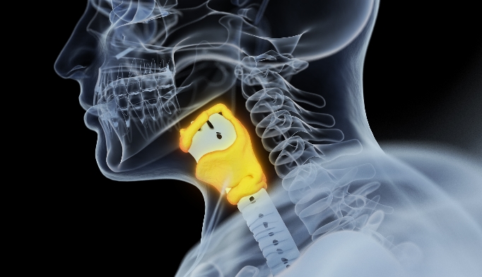 pth-after-parathyroidectomy-indicates-5-year-pth-outcomes-renal-and