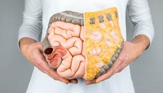 Researchers examined body mass index differences in current, past, and never users of menopausal hormone therapy. Researchers examined body mass index differences in current, past, and never users of menopausal hormone therapy.