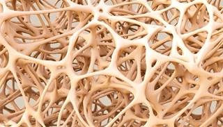 Four annual measurements were conducted at the tibia and radius in adolescents. Four annual measurements were conducted at the tibia and radius in adolescents.
