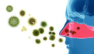 Girls with obesity were more likely to experience allergies and other atopic conditions. Girls with obesity were more likely to experience allergies and other atopic conditions.