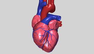 Over 18% of patients who were overweight and 5.8% of patients considered morbidly obese did not have any cardiometabolic risk factors present. Over 18% of patients who were overweight and 5.8% of patients considered morbidly obese did not have any cardiometabolic risk factors present.